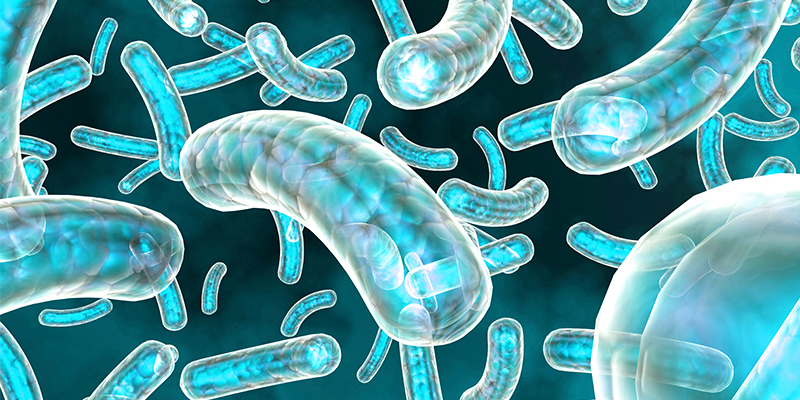 3D image of cells