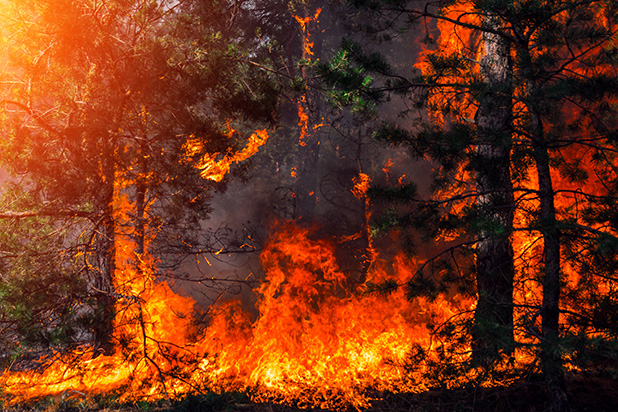 Wildfire Safety Wildfire Safety