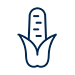 Corn Icon