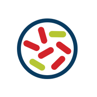 mold mold icon