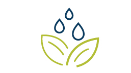 Plant with water drops icon Plant with water drops icon