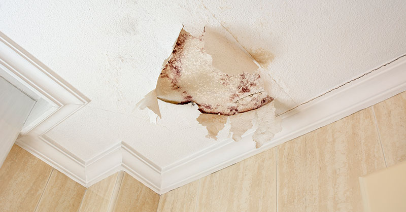 Water damage in ceiling
