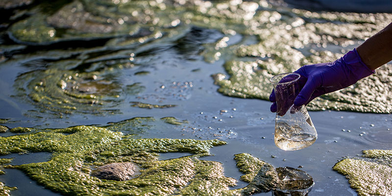 Dirty water with persons hand testing with test tube