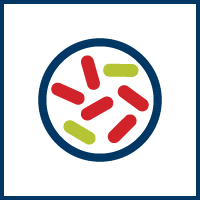 mold mold icon