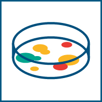 Mold in dish icon