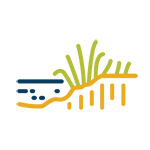 Public Entity-Icon3_web Public Entity-Icon3_web