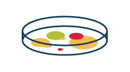 Environmental coverage evolves Peetree dish with mold illustration icon