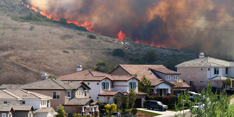 Wildfire