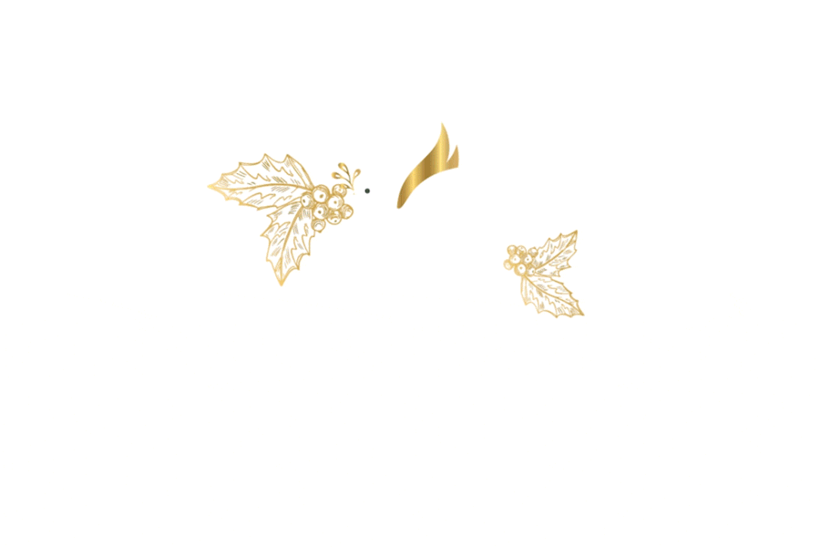 dove holiday card